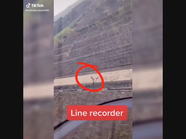 Помощник дворника