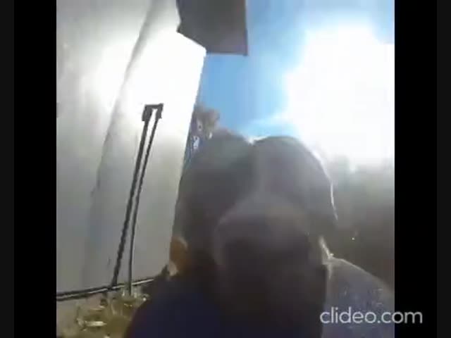 Как выглядит радость