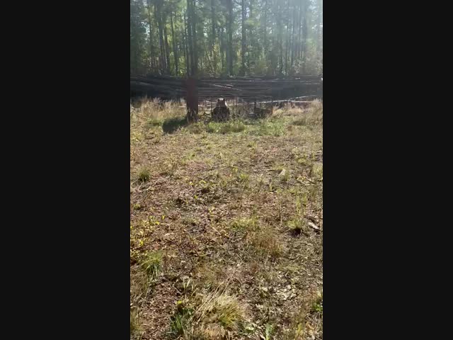 Миша очень зол...