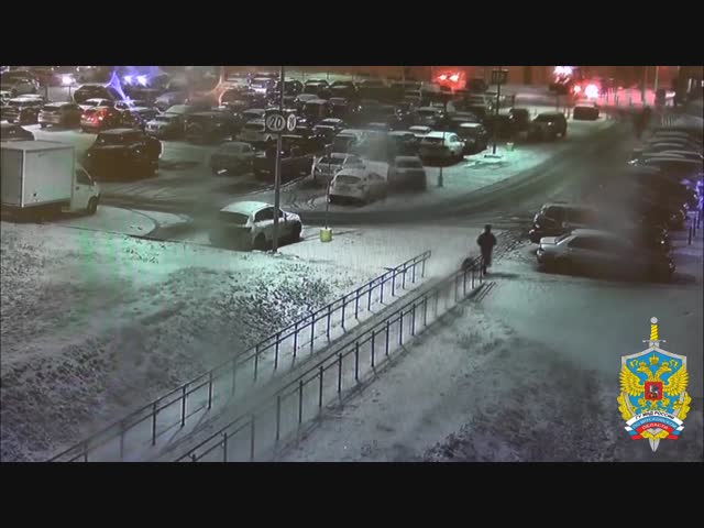 Хулиган в Щелково повредил топором 12 автомобилей