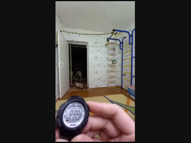 Полоса препятствий