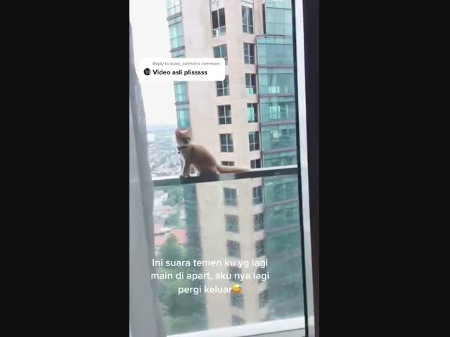 Давно так не волновался