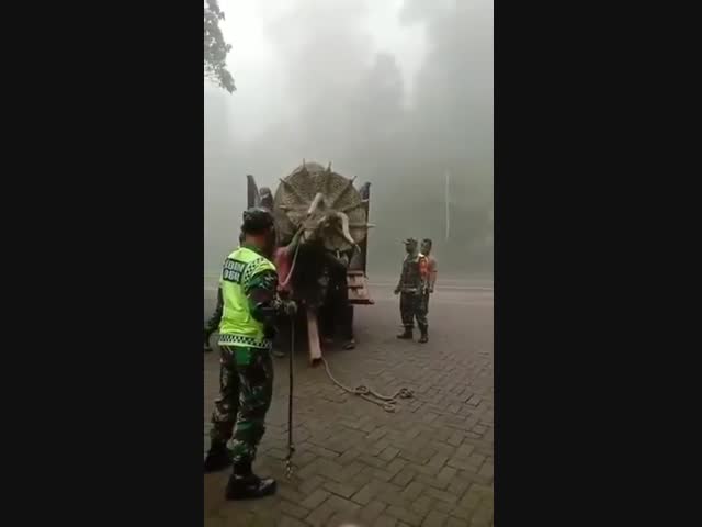 Очень похож на настоящего