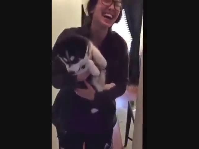 Разговорчивый какой