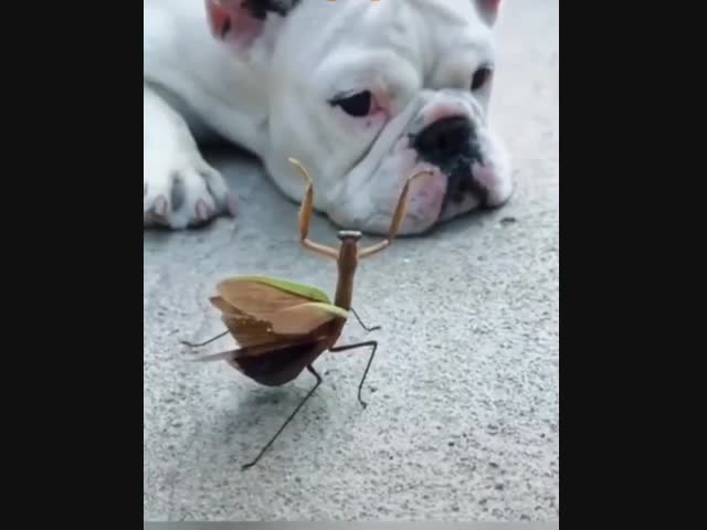 Зря стараешься...