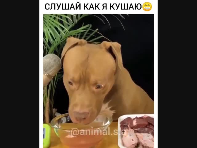 Издеваются...