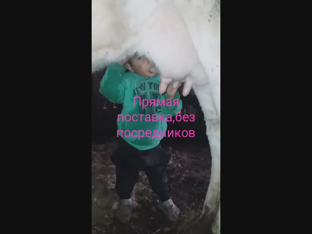 Свежее не бывает..