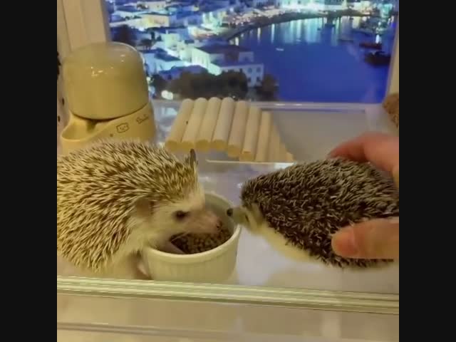 Везде обман...