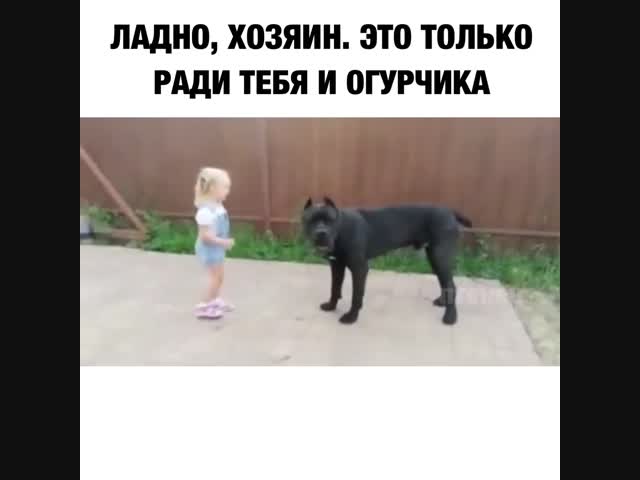 Такой большой, а любит огурчик:)))