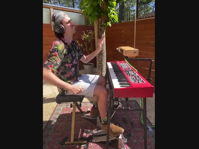 Французский мультиинструменталист