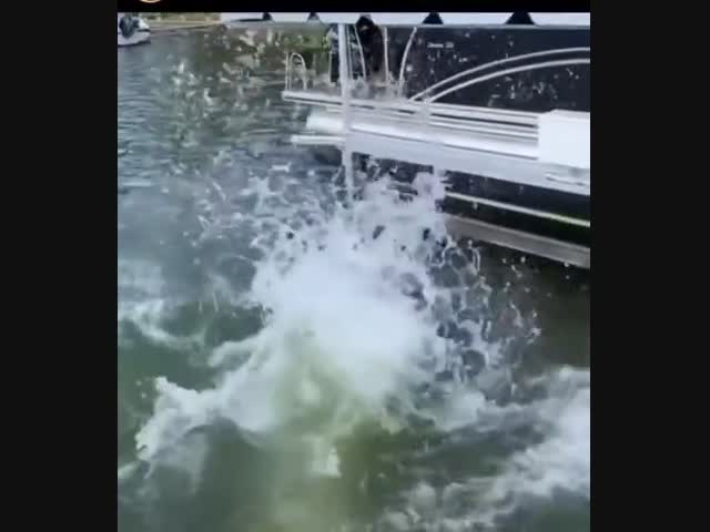 Две рыбины одним ударом