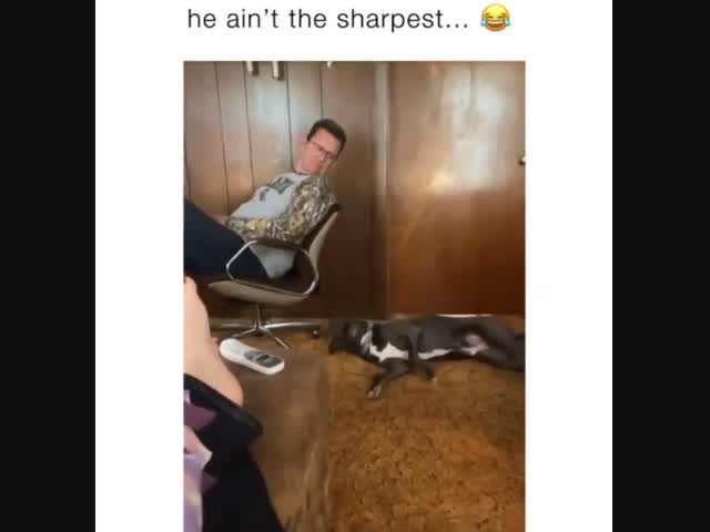 Кто это сделал? Кто здесь?