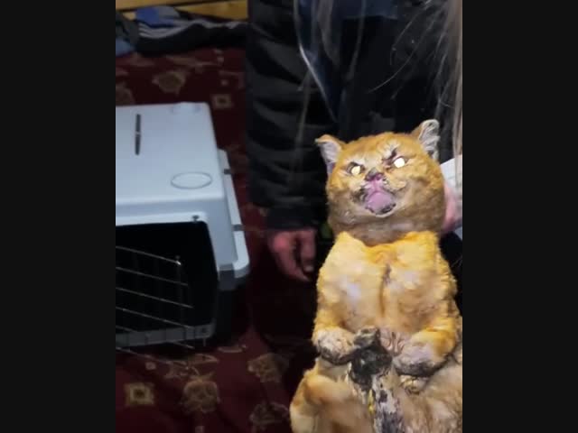 Я искренне надеюсь, что ад существует....всего тебе плохого,падаль!