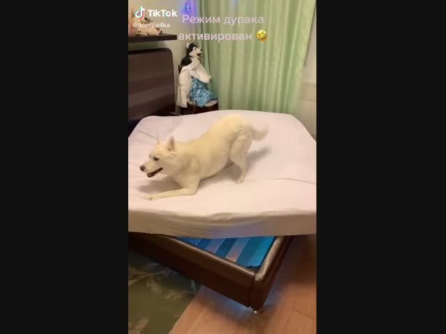 Новая кровать