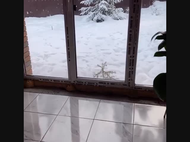 Зимнее ми-ми-ми