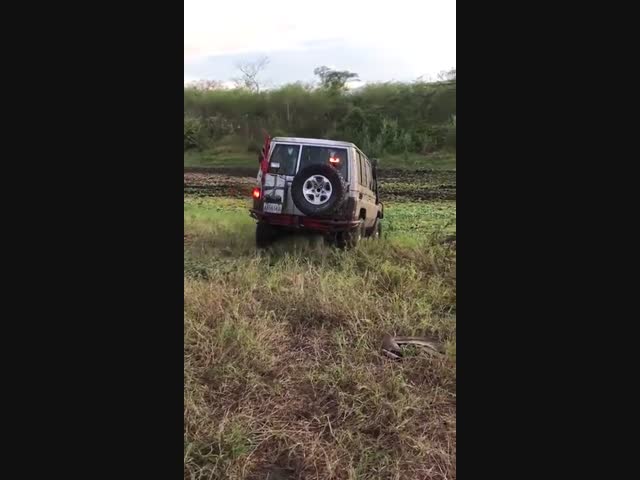 Болото? Пффф, смотри как могу