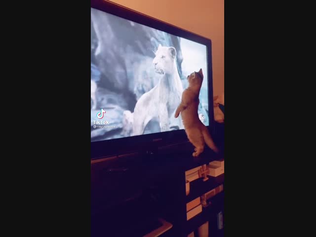 Испугался...