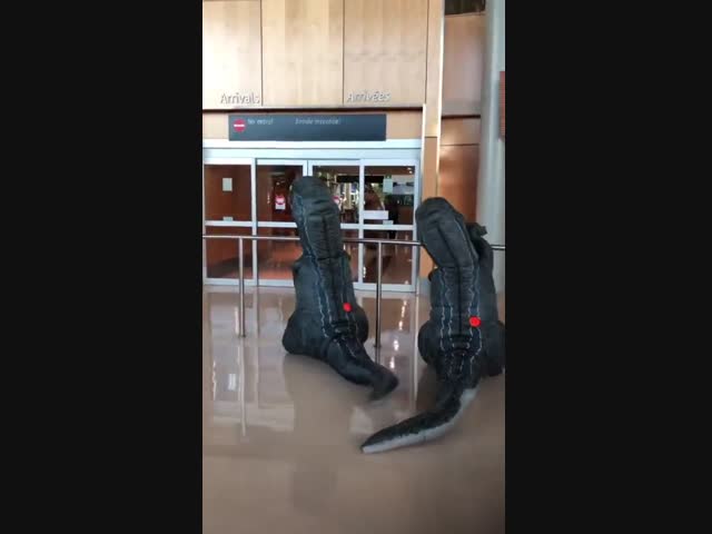 Внуки встретили бабушку в аэропорту