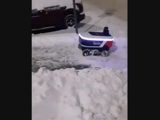 Российская зима победила робототехнику