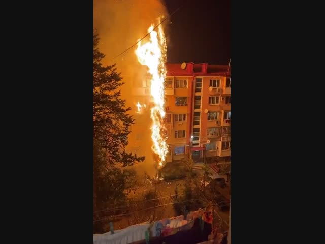 Раз, два, три - ёлочка, гори!