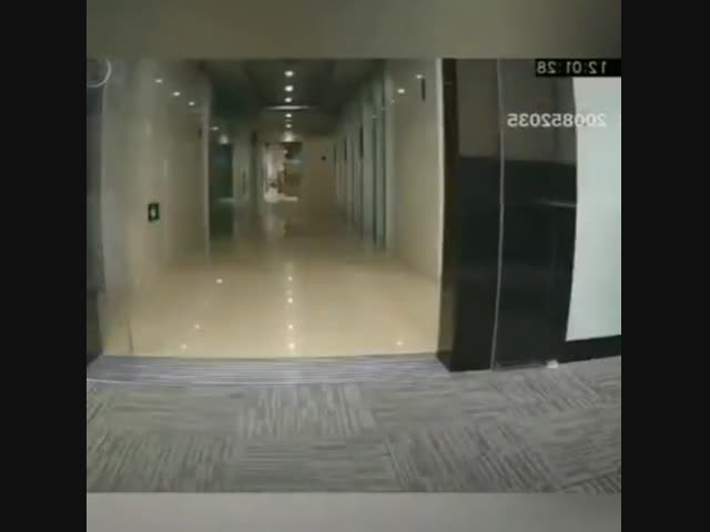 Спасение глупого котика