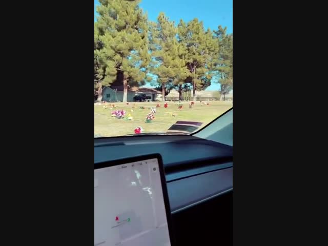 Автомобиль Tesla обнаруживает призраков на кладбище