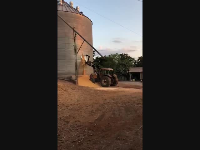 ЧП на ферме