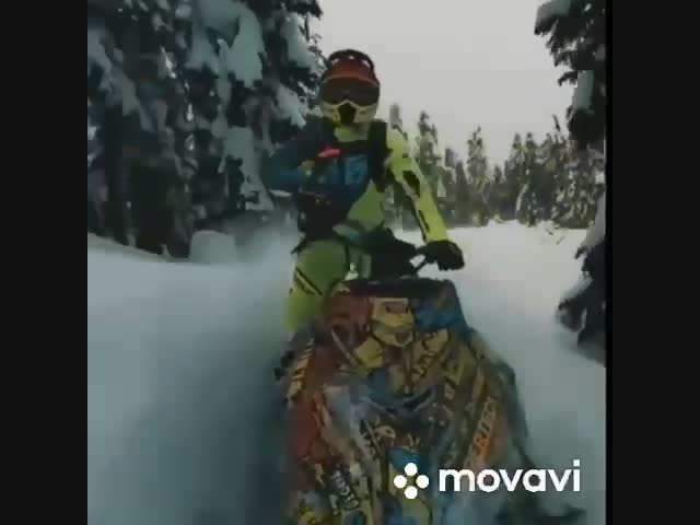 Случай в лесу