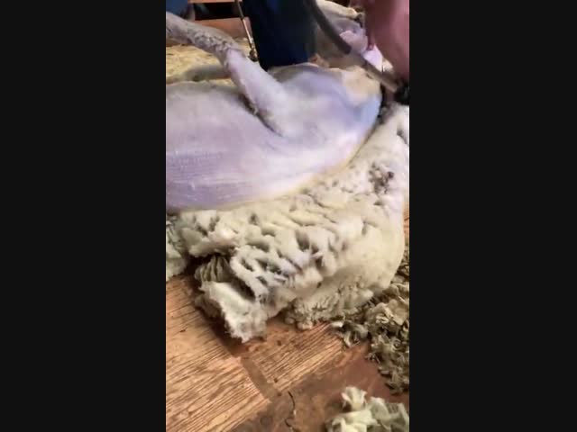 Модная стрижка