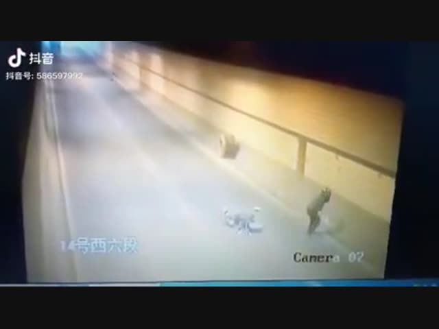 а говорят, что снаряд в одну воронку 2 раза не попадает