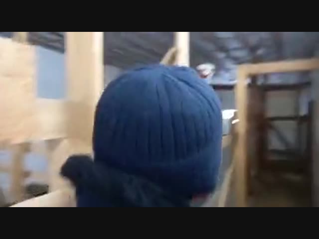 Как успокоить страуса