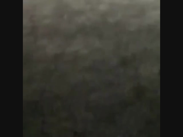 А теперь мир дикой природы из Хасавюрта, товарищи