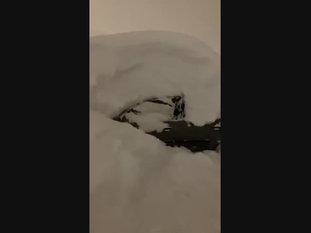 В Швеции выпал небольшой снежок