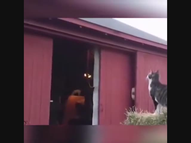 Ошибка в расчётах