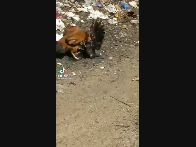 Получила по заслугам.