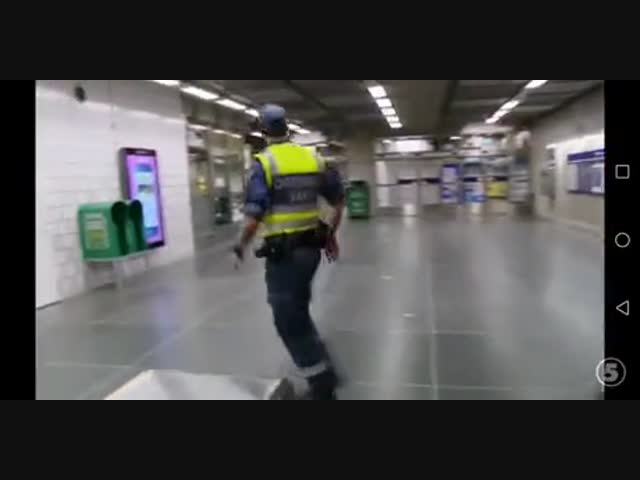Работа шведского полицейского