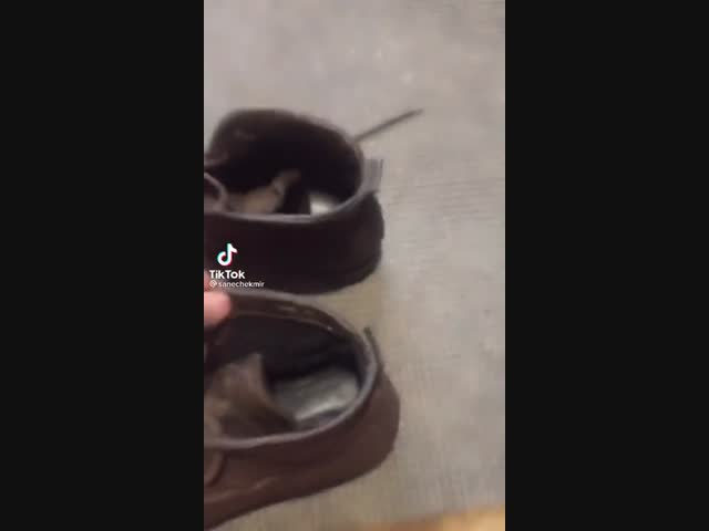 Очень неожиданная надпись на 