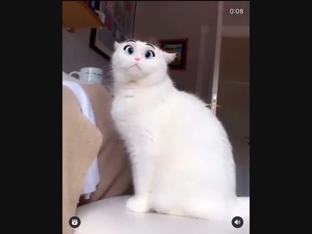 Современные приложения творят чудеса