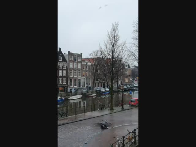 В Амстердам пришла зима
