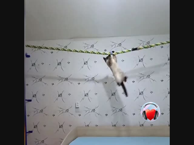 Её любимое развлечение)