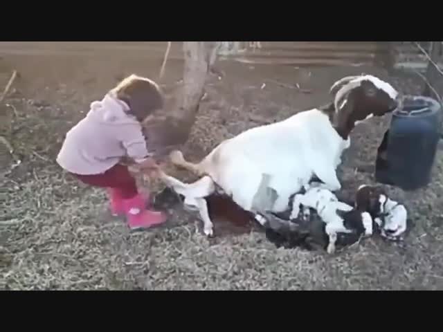 Юная акушерка