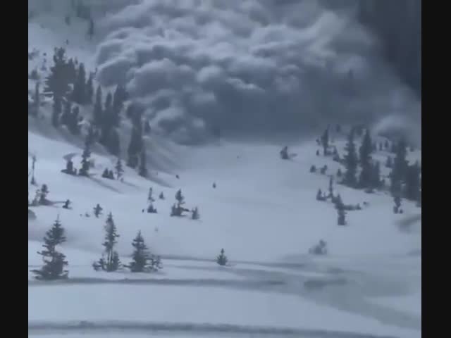 Водитель снегохода из штата Юта снял на видео накрывшую его лавину