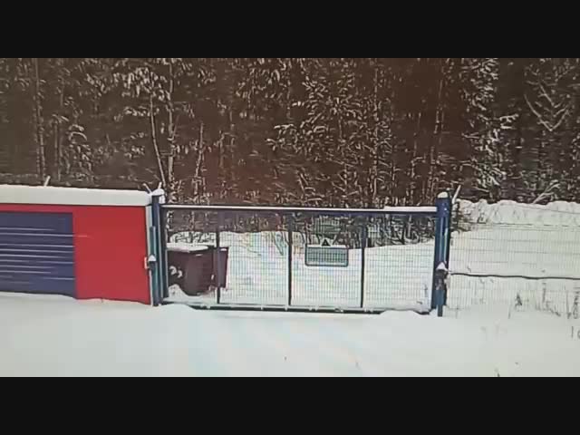 Поздравим пушистого