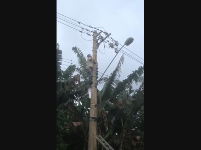 Недоученный электрик 18+