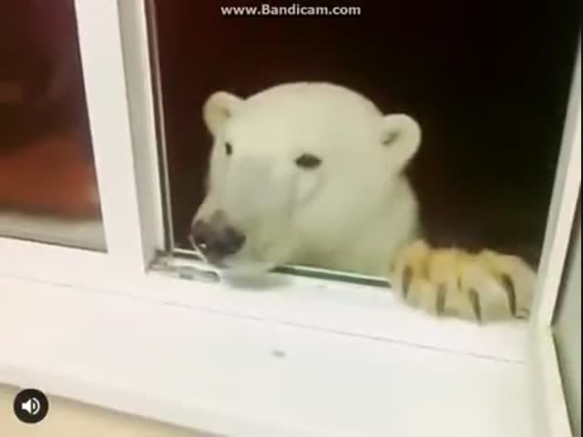 Ласковый мерзавец