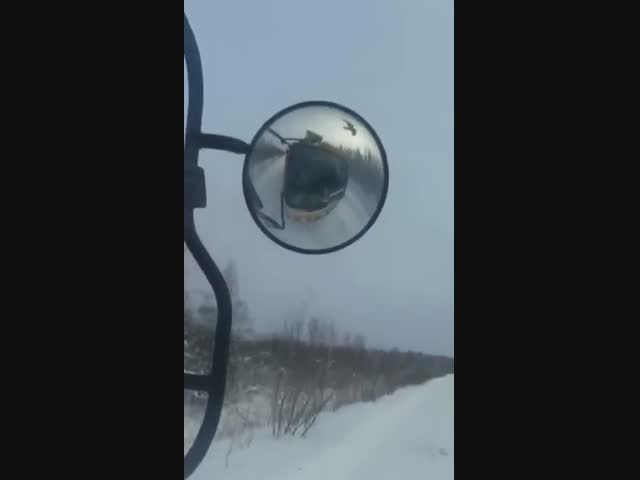 Ворон просит еду у проезжающих автомобилей на зимней дороге в Якутии