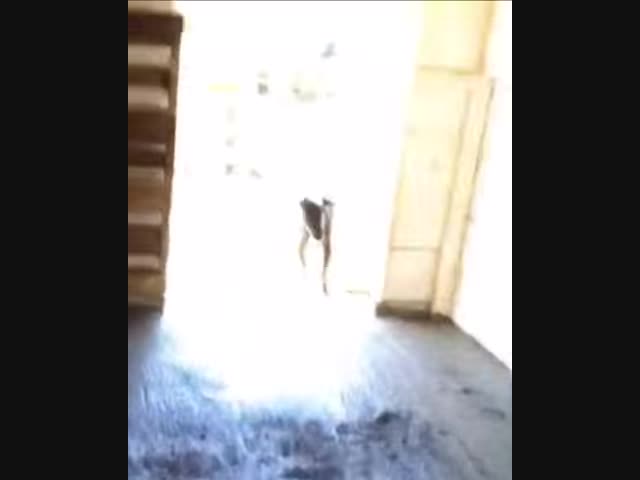 Что-то на козлячьем