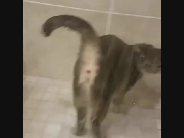 Водные процедуры