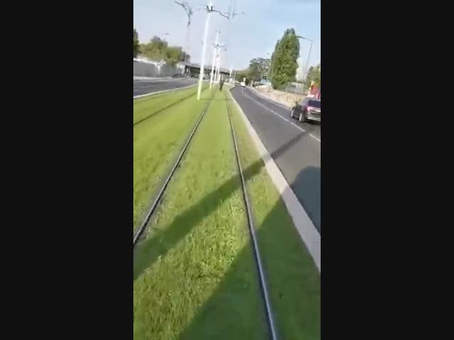 Дурак на велике обиделся на трамвай