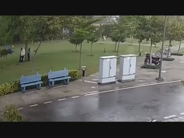 Похоже на чёрную комедию